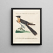 Ornithology meticulously digested Pl071 - Saverio Manetti — framed artwork on a wall