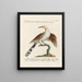 Ornithology methodically digested Pl079 - Saverio Manetti — framed artwork on a wall