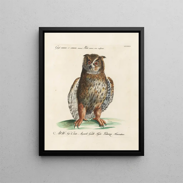 Ornithology Painting methodically digested Pl082 - Saverio Manetti — framed artwork on a wall