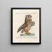 Ornithology Painting methodically digested Pl083 - Saverio Manetti — framed artwork on a wall