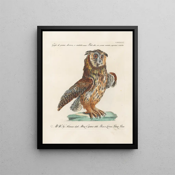 Ornithology Painting methodically digested Pl083 - Saverio Manetti — framed artwork on a wall