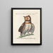 Ornithology Painting methodically digested Pl084 - Saverio Manetti — framed artwork on a wall