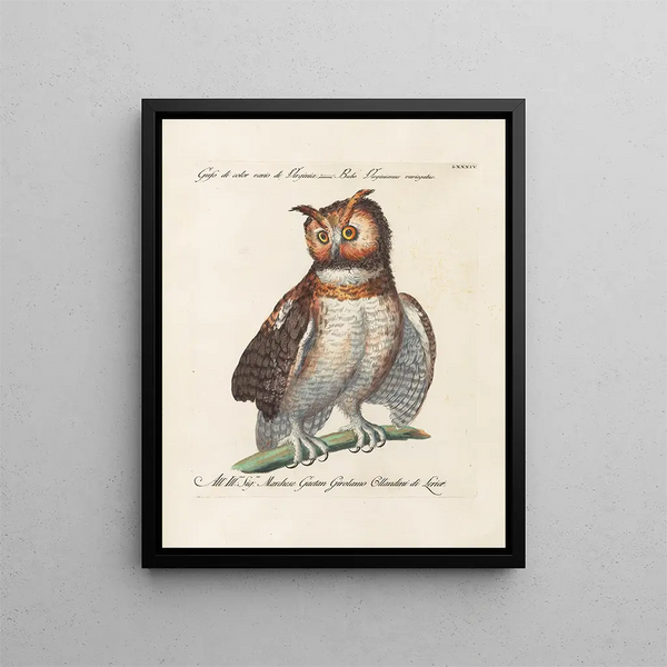 Ornithology Painting methodically digested Pl084 - Saverio Manetti — framed artwork on a wall