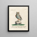 Ornithology Painting methodically digested Pl085 - Saverio Manetti — framed artwork on a wall