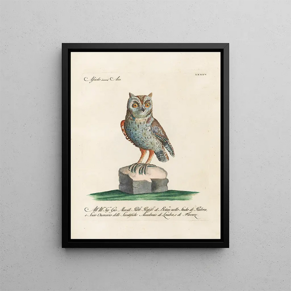 Ornithology Painting methodically digested Pl085 - Saverio Manetti — framed artwork on a wall