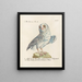 Ornithology meticulously digested Painting Pl092 - Saverio Manetti — framed artwork on a wall