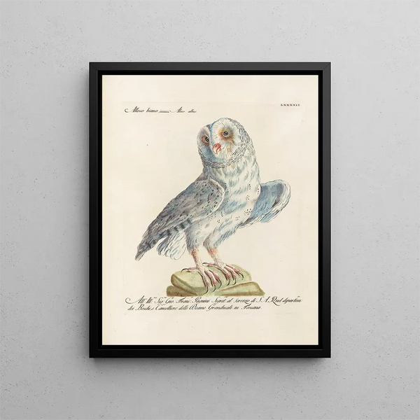 Ornithology meticulously digested Painting Pl092 - Saverio Manetti — framed artwork on a wall
