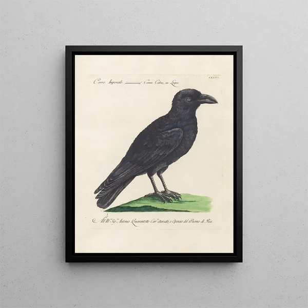 Ornithology Painting methodically digested Pl140 - Saverio Manetti — framed artwork on a wall