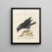 Ornithology Painting methodically digested Pl141 - Saverio Manetti — framed artwork on a wall