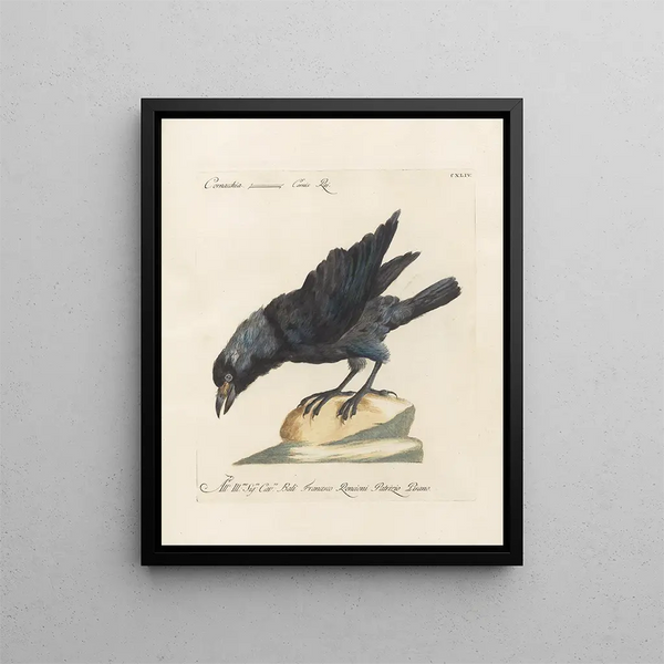 Ornithology Painting methodically digested Pl141 - Saverio Manetti — framed artwork on a wall