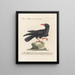 Ornithology methodically digested Pl149 - Saverio Manetti — framed artwork on a wall