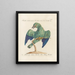 Ornithology systematically digested Painting Pl159 - Saverio Manetti — framed artwork on a wall