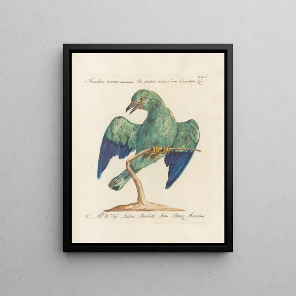 Ornithology systematically digested Painting Pl159 - Saverio Manetti — framed artwork on a wall