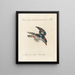 Ornithology meticulously digested Painting Pl162 - Saverio Manetti — framed artwork on a wall