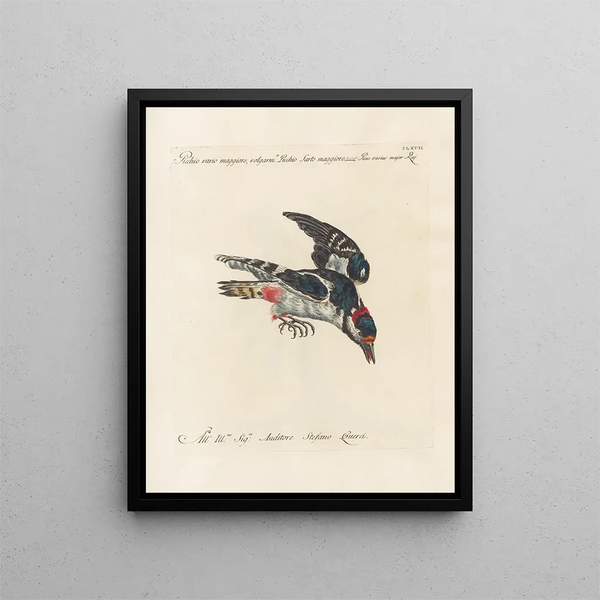 Ornithology meticulously digested Painting Pl162 - Saverio Manetti — framed artwork on a wall