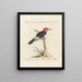 Ornithology Painting methodically digested Pl169 - Saverio Manetti — framed artwork on a wall