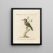 L'ornithologie a méthodiquement digéré Pl172 - Saverio Manetti — framed artwork on a wall