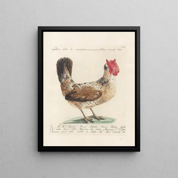 L'ornithologie a méthodiquement digéré Pl193 - Saverio Manetti — framed artwork on a wall