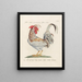 L'ornithologie a méthodiquement digéré Pl195 - Saverio Manetti — framed artwork on a wall