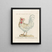 L'ornithologie a méthodiquement digéré Pl197 - Saverio Manetti — framed artwork on a wall