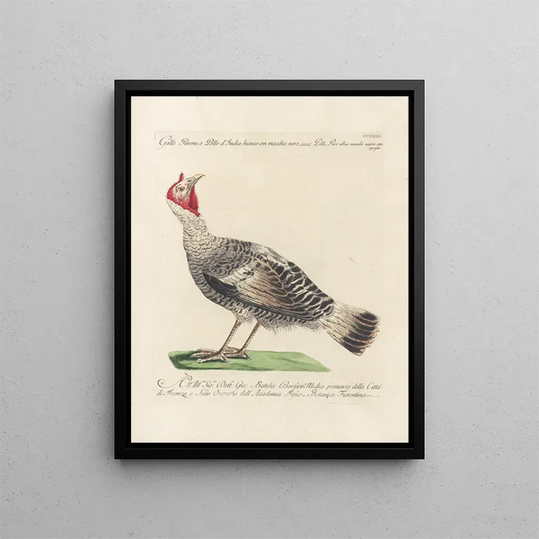 Ornithology Painting methodically digested Pl205 - Saverio Manetti — framed artwork on a wall