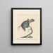 Ornithology systematically digested Painting Pl252 - Saverio Manetti — framed artwork on a wall