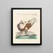 Ornithology Painting methodically digested Pl265 - Saverio Manetti — framed artwork on a wall
