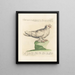 L'ornithologie méthodiquement digérée Pl266 - Saverio Manetti — framed artwork on a wall