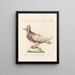 Ornithology meticulously digested Painting Pl268 - Saverio Manetti — framed artwork on a wall