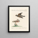 Ornithology Painting methodically digested Pl320 - Saverio Manetti — framed artwork on a wall