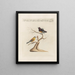 Ornithology painting methodically digested Pl350 - Saverio Manetti — framed artwork on a wall