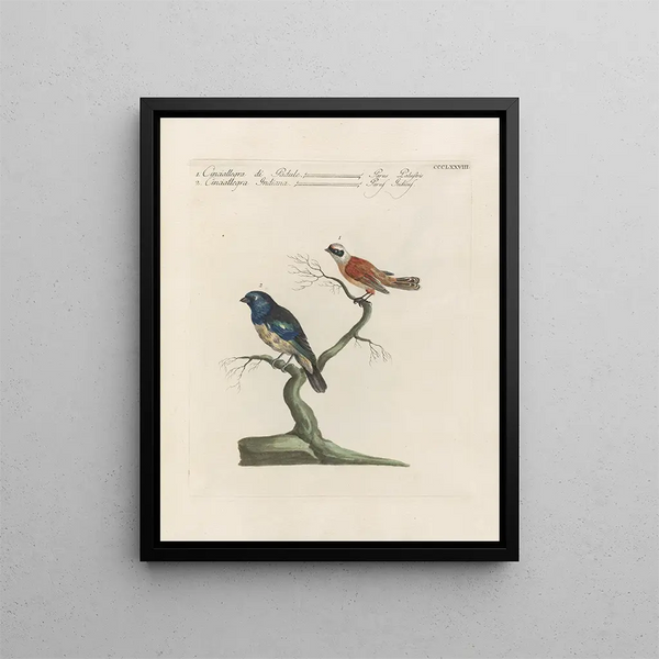 Ornithology Painting methodically digested Pl360 - Saverio Manetti — framed artwork on a wall