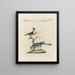 L'ornithologie méthodiquement digérée Pl366 - Saverio Manetti — framed artwork on a wall