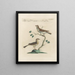 Ornithology Painting methodically digested Pl370 - Saverio Manetti — framed artwork on a wall