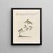 Ornithology Painting methodically digested Pl372 - Saverio Manetti — framed artwork on a wall