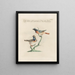 Ornithology methodically digested Pl379 - Saverio Manetti — framed artwork on a wall