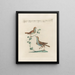 Ornithology Painting methodically digested Pl382 - Saverio Manetti — framed artwork on a wall