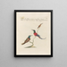 L'ornithologie a méthodiquement digéré Pl387 - Saverio Manetti — framed artwork on a wall