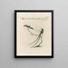 Ornithology Painting methodically digested Pl388 - Saverio Manetti — framed artwork on a wall