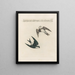 Ornithology Painting methodically digested Pl390 - Saverio Manetti — framed artwork on a wall