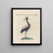 Ornithology painting methodically digested Pl396 - Saverio Manetti — framed artwork on a wall