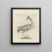 L'ornithologie a méthodiquement digéré Pl397 - Saverio Manetti — framed artwork on a wall