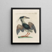 L'ornithologie a méthodiquement digéré Pl404 - Saverio Manetti — framed artwork on a wall