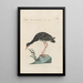 Ornithologia methodice digesta Pl415 - Saverio Manetti — framed artwork on a wall