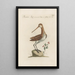 Ornithologia methodice digesta Pl427 - Saverio Manetti — framed artwork on a wall