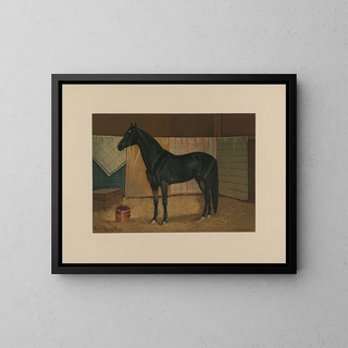 Nuage noir - Scott Leighton — framed artwork on a wall