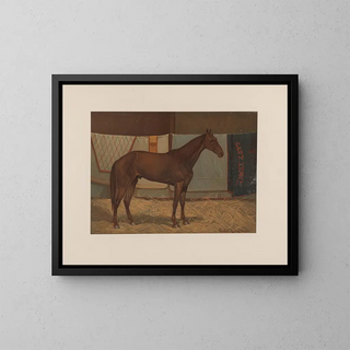 Captain Lewis - Scott Leighton — framed artwork on a wall