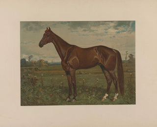 Edwin Thorne - Scott Leighton — artwork view