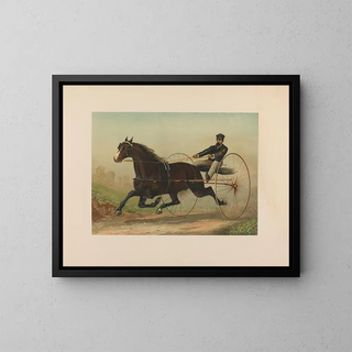 Smuggler - Scott Leighton — framed artwork on a wall