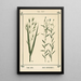 Atlas of Plants for My Water Cure Pl05 - Sebastian Kneipp — framed artwork on a wall